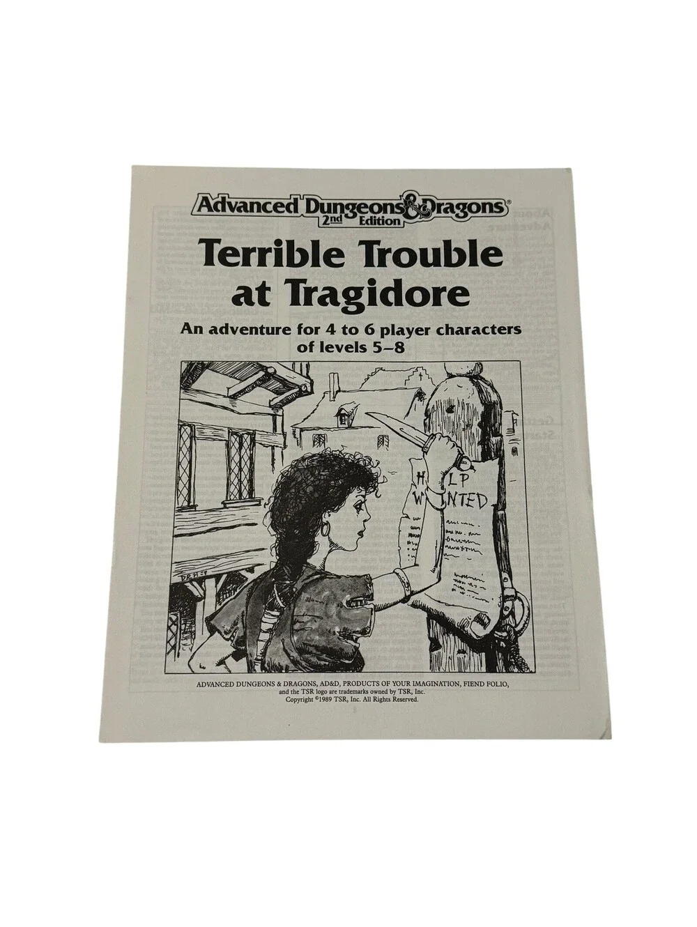 Advanced Dungeons & Dragons : Trouble Troublant à Tragidore